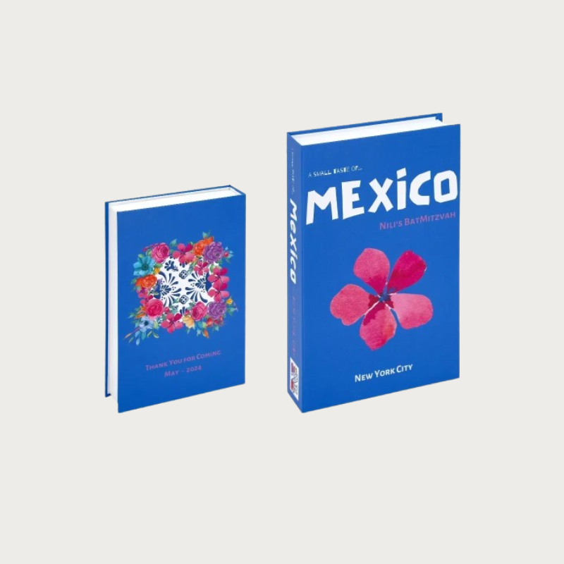 TRAVEL SERIES FAKE BOOK