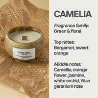 CAMELIA