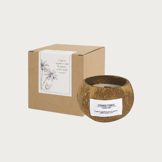 COCONUT CANDLE