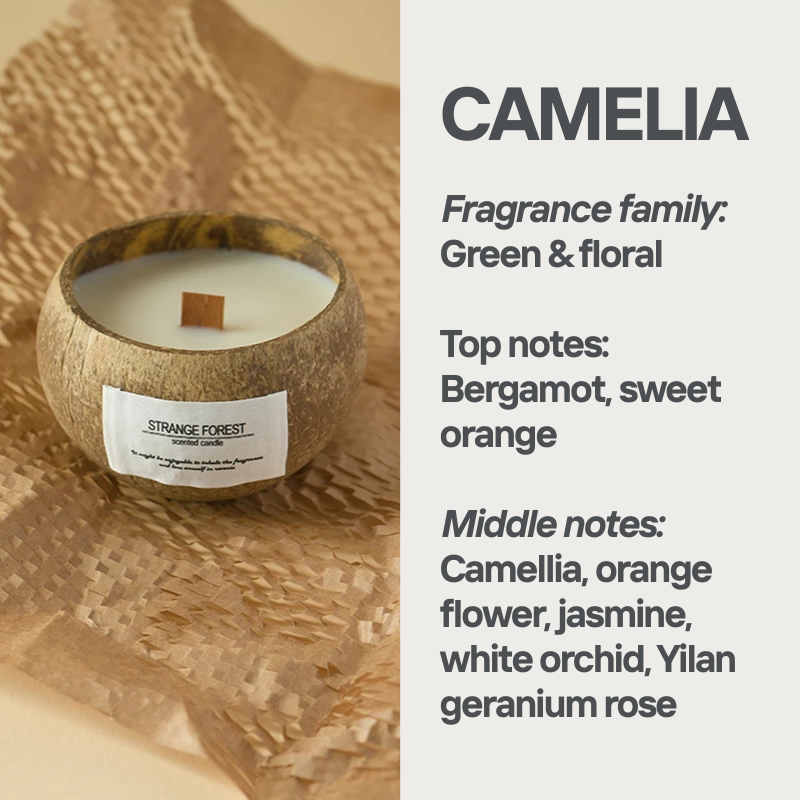 COCONUT CANDLE