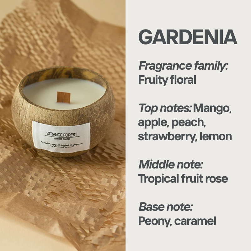 COCONUT CANDLE